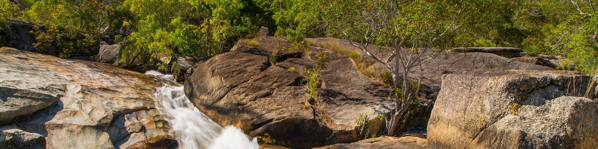 Una cascada fluye sobre rocas en un área boscosa.