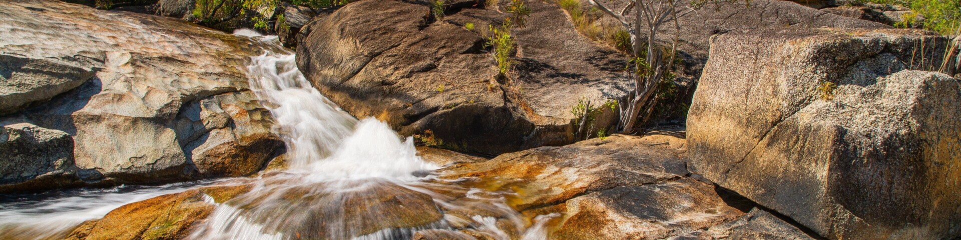 Davies Creek National Park showing a river or creek