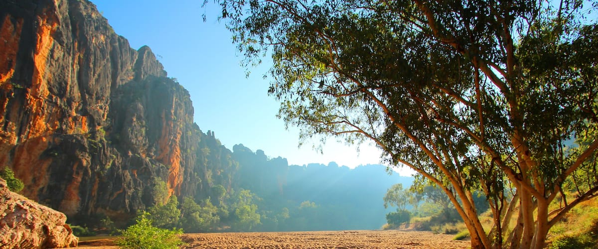 A desert landscape with a prominent rock formation and a tree in the foreground.