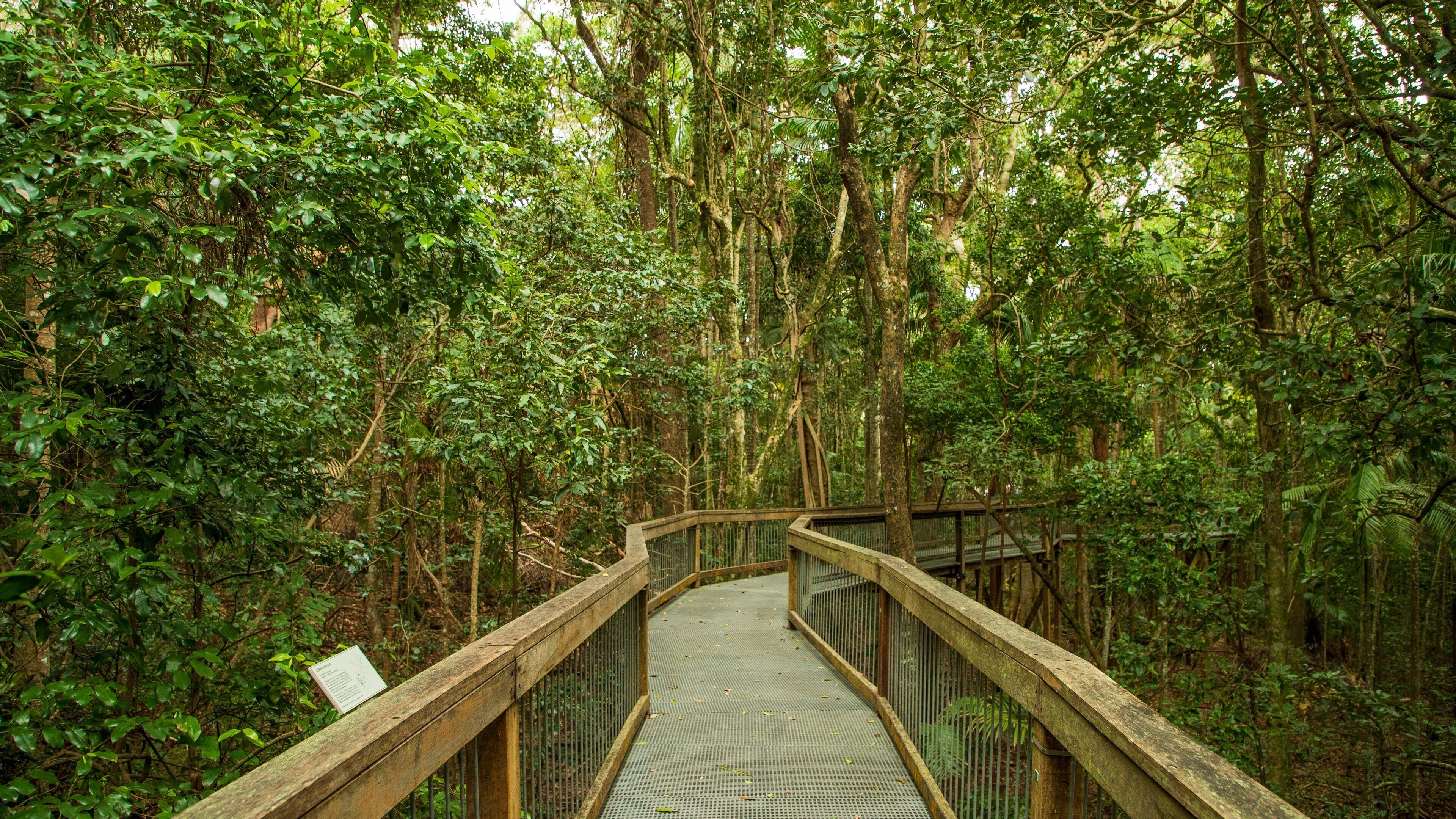 Sea Acres National Park which includes forests