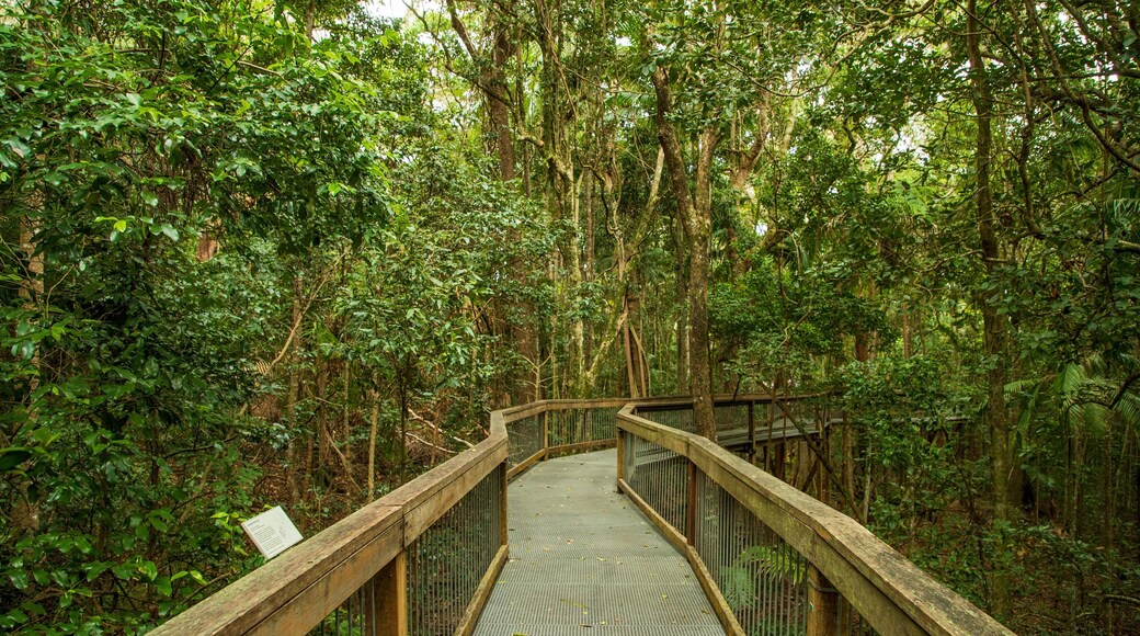 Sea Acres National Park which includes forests