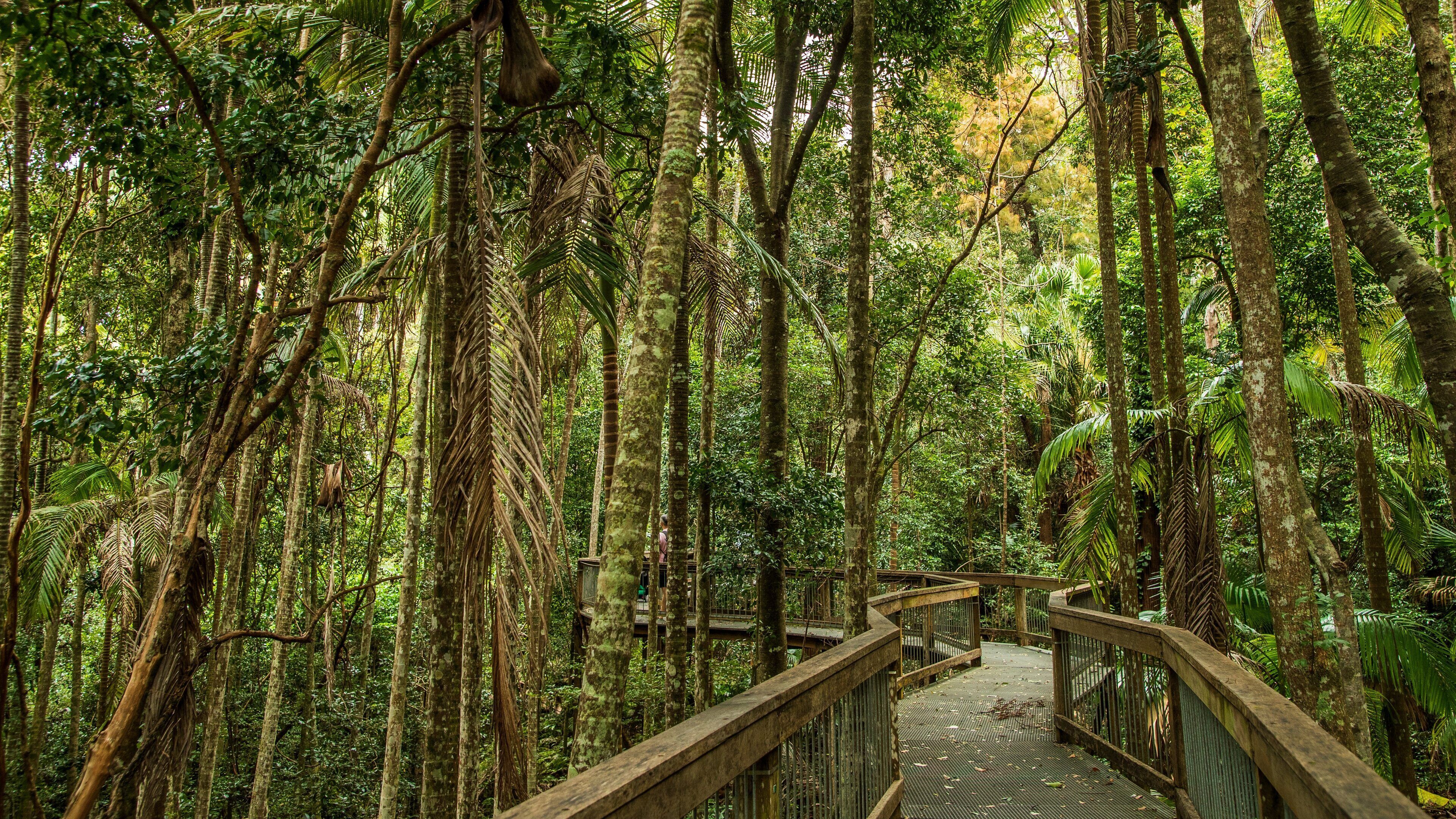 Sea Acres National Park showing forests