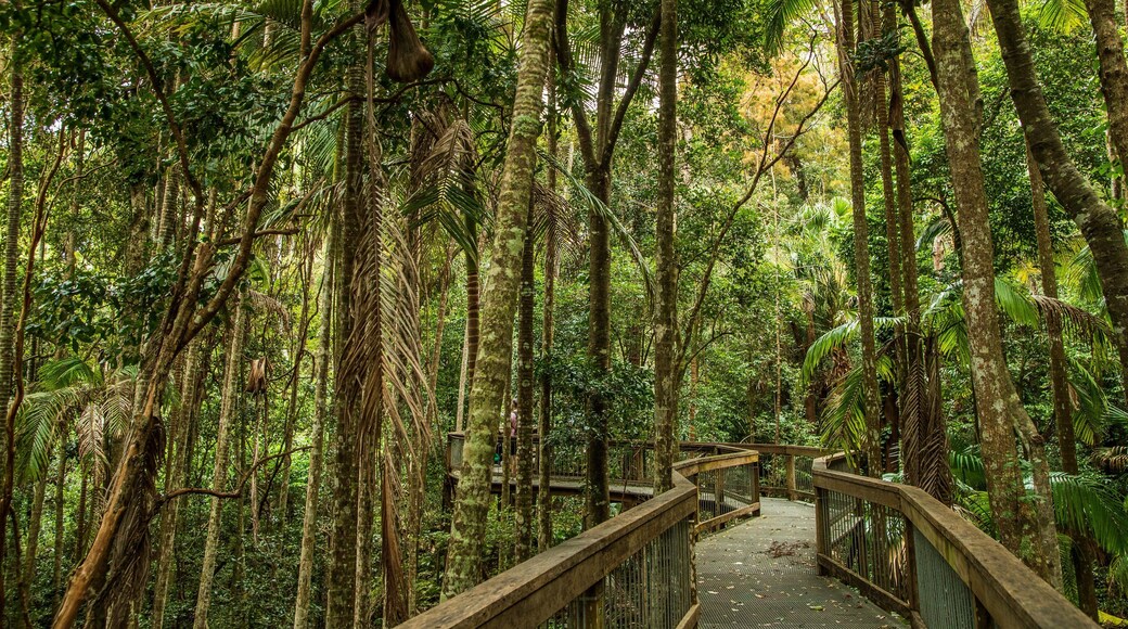Sea Acres National Park showing forests