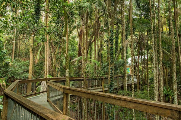 Sea Acres National Park showing forests