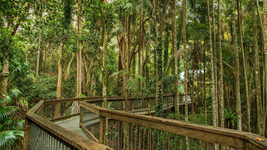 Sea Acres National Park showing forests