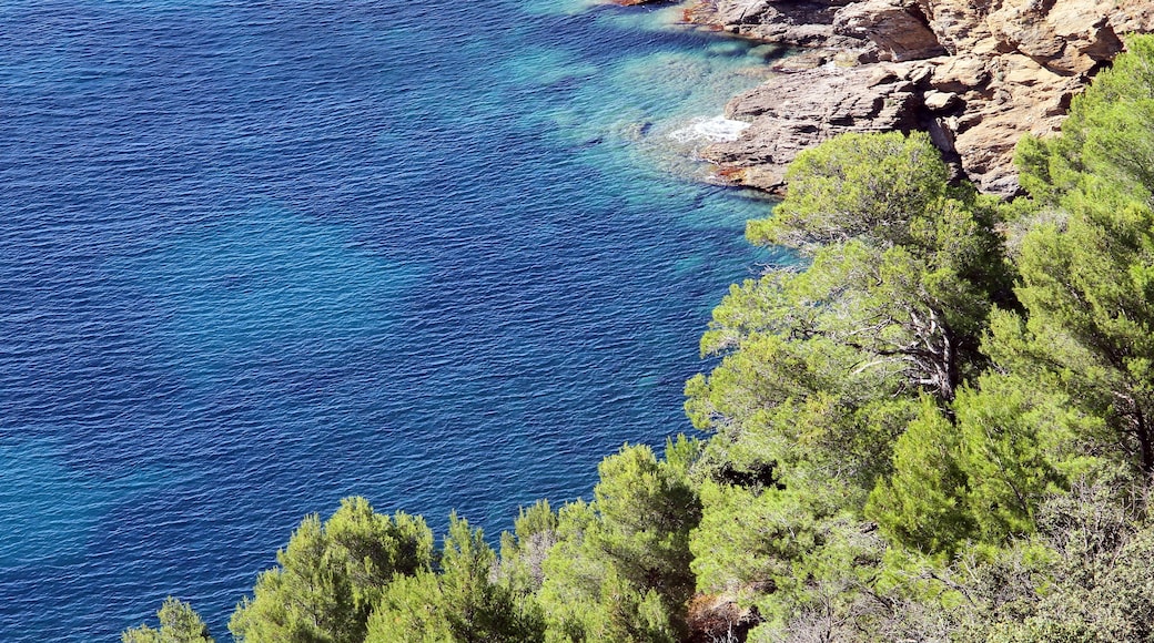 Office de Tourisme de Cassis
