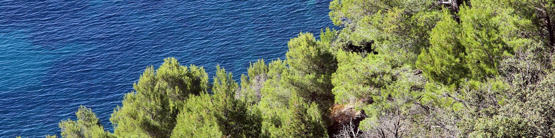 A coastal landscape with clear blue sea, rocky cliffs, and dense green pine trees.