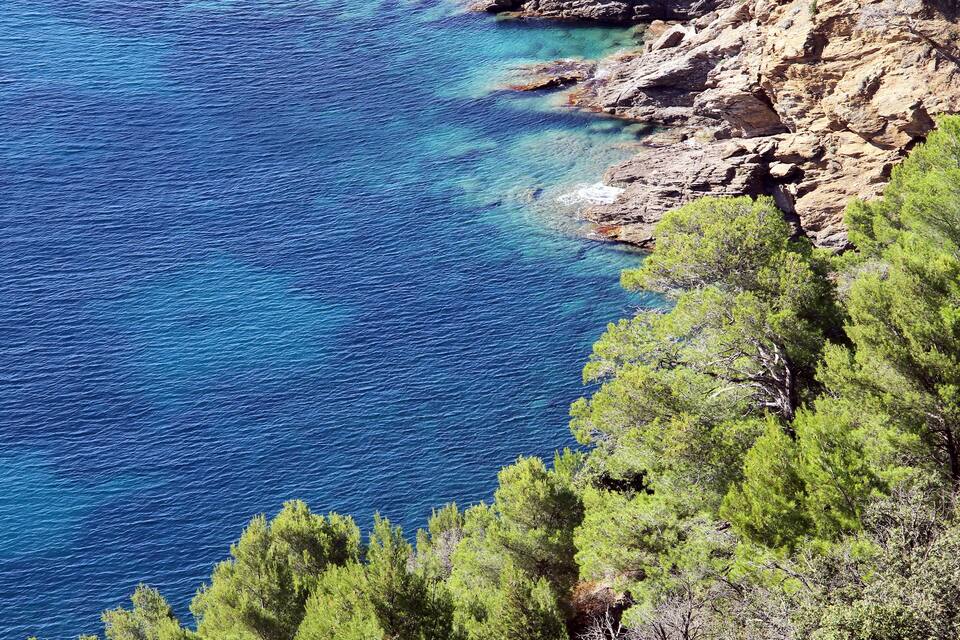 Paisagem costeira com mar azul cristalino, falésias rochosas e densa vegetação de pinheiros.