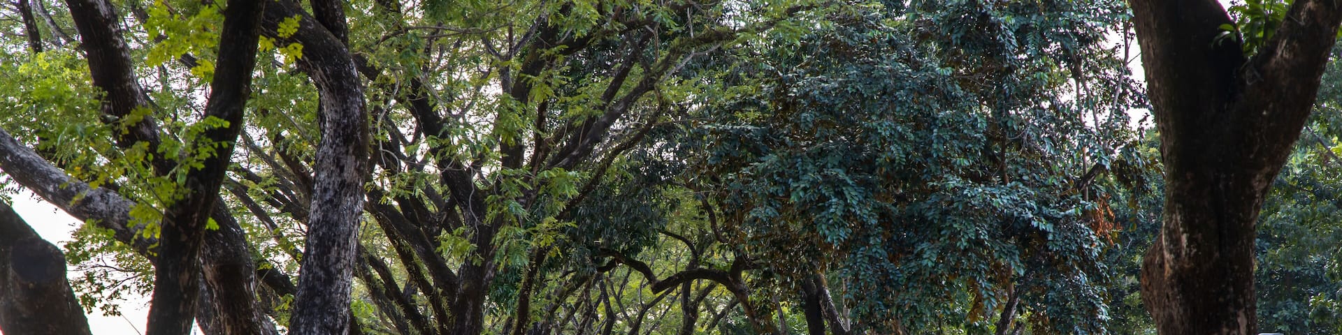 Scenery in Clark Parade Grounds, Pampanga, Philippines, Feb 1, 2020