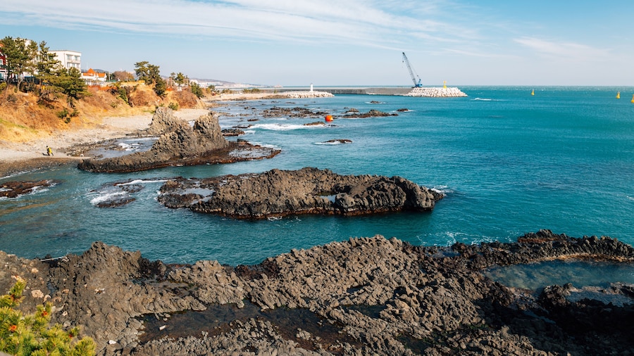 Yangnam Jusangjeolli
