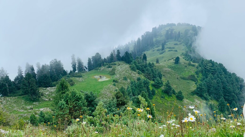 Mushkpuri Peak
