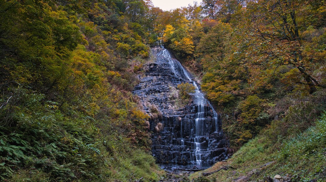 Akita,Japan - October 30, 2024: Hiyama fall in Akita, Japan