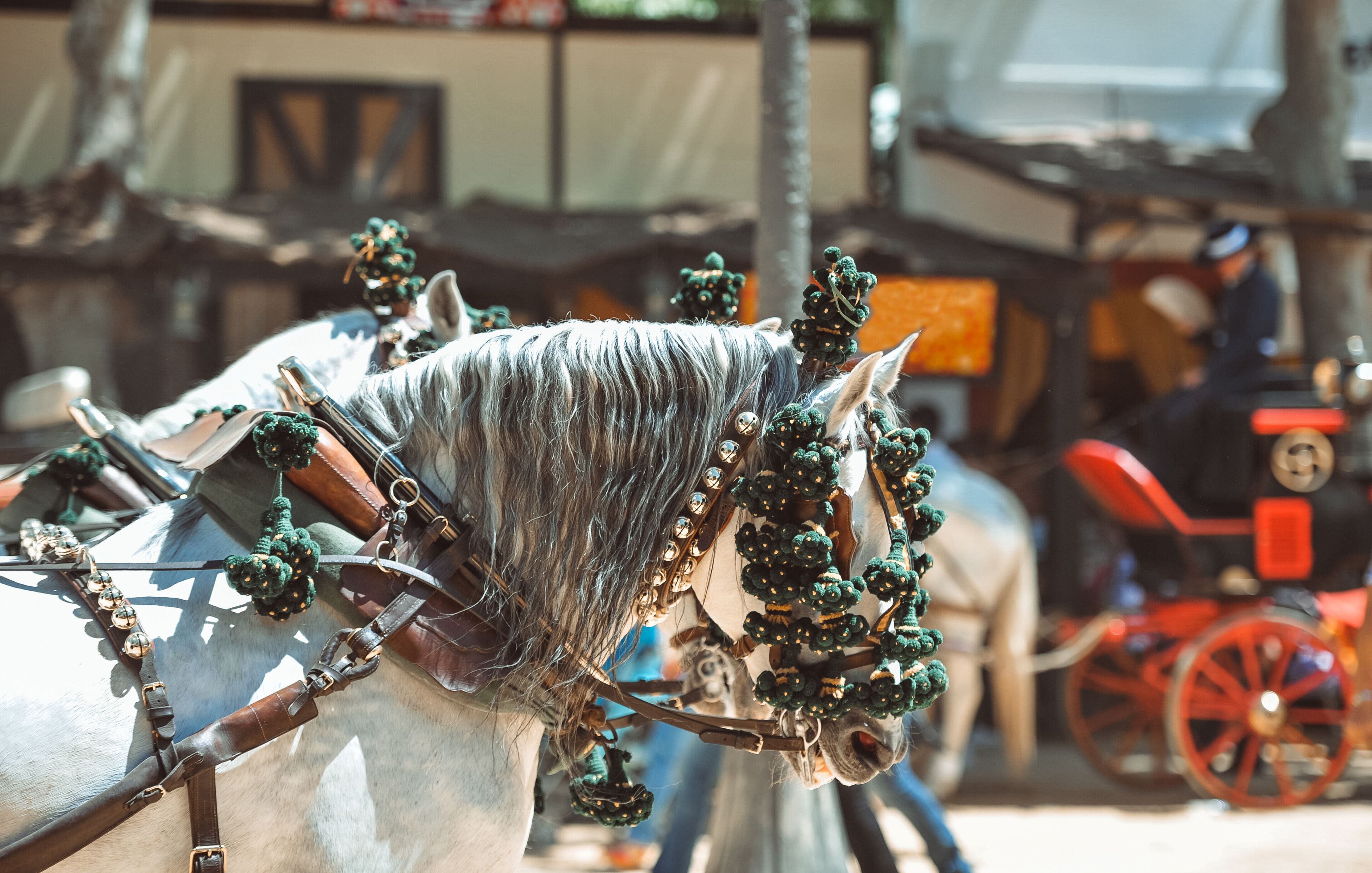 Traditional artisans ornaments on the head of carriage horses at the fair in Jerez de la Frontera Cadiz