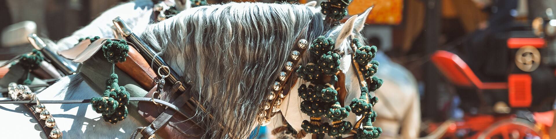 Traditional artisans ornaments on the head of carriage horses at the fair in Jerez de la Frontera Cadiz