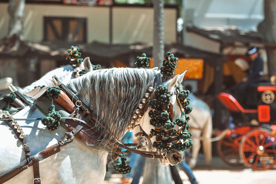 A horse-drawn carriage decorated with Christmas ornaments.