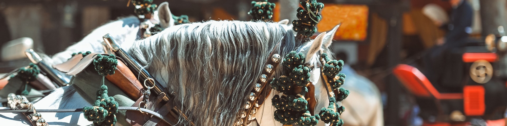 Traditional artisans ornaments on the head of carriage horses at the fair in Jerez de la Frontera Cadiz