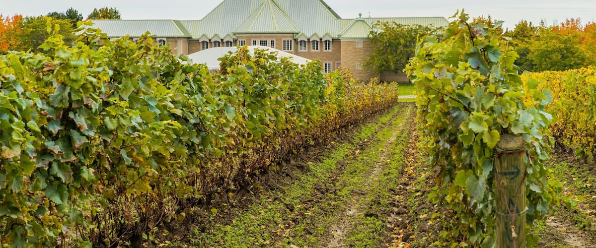 Château des Charmes featuring farmland