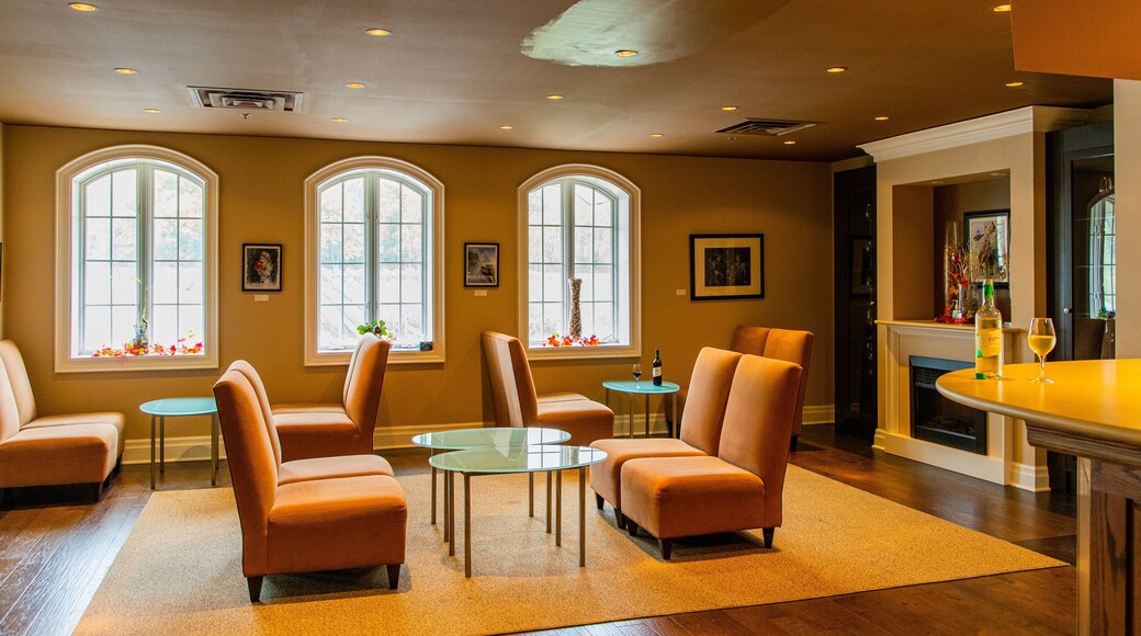 ChĂąteau des Charmes featuring interior views