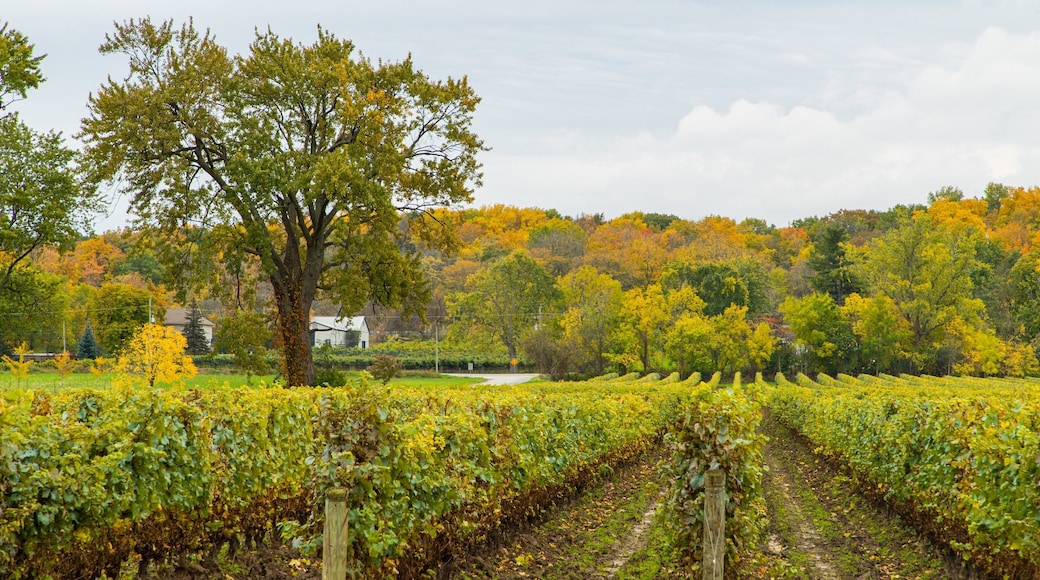 Château des Charmes featuring farmland