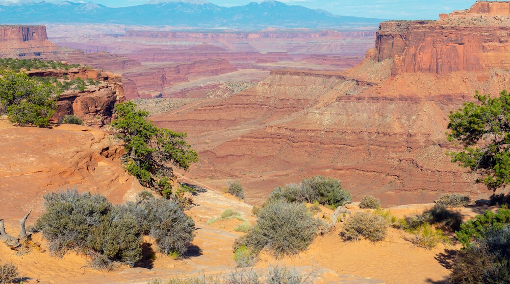 아치 국립 공원 방문자 센터