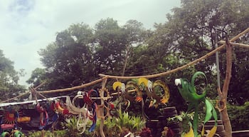 On the road to our beachside homestay.