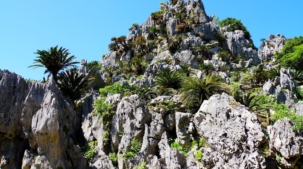 Goku-Iwa in Yanbaru National Park, Okinawa