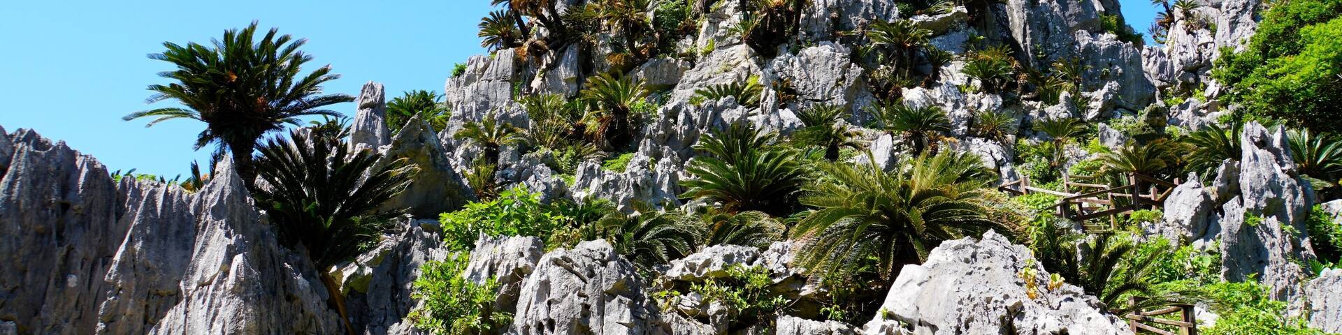 Goku-Iwa in Yanbaru National Park, Okinawa