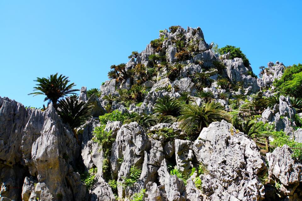 A rocky mountain with palm trees and greenery.