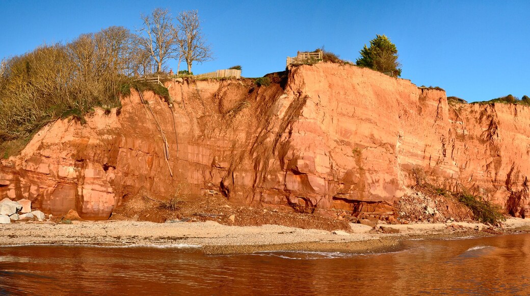 Dorset and East Devon Coast
