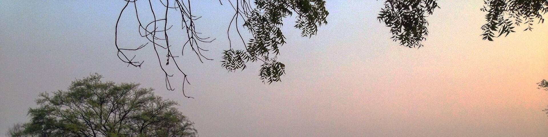 Bird sanctuary in Rajasthan. Bogs and birds.