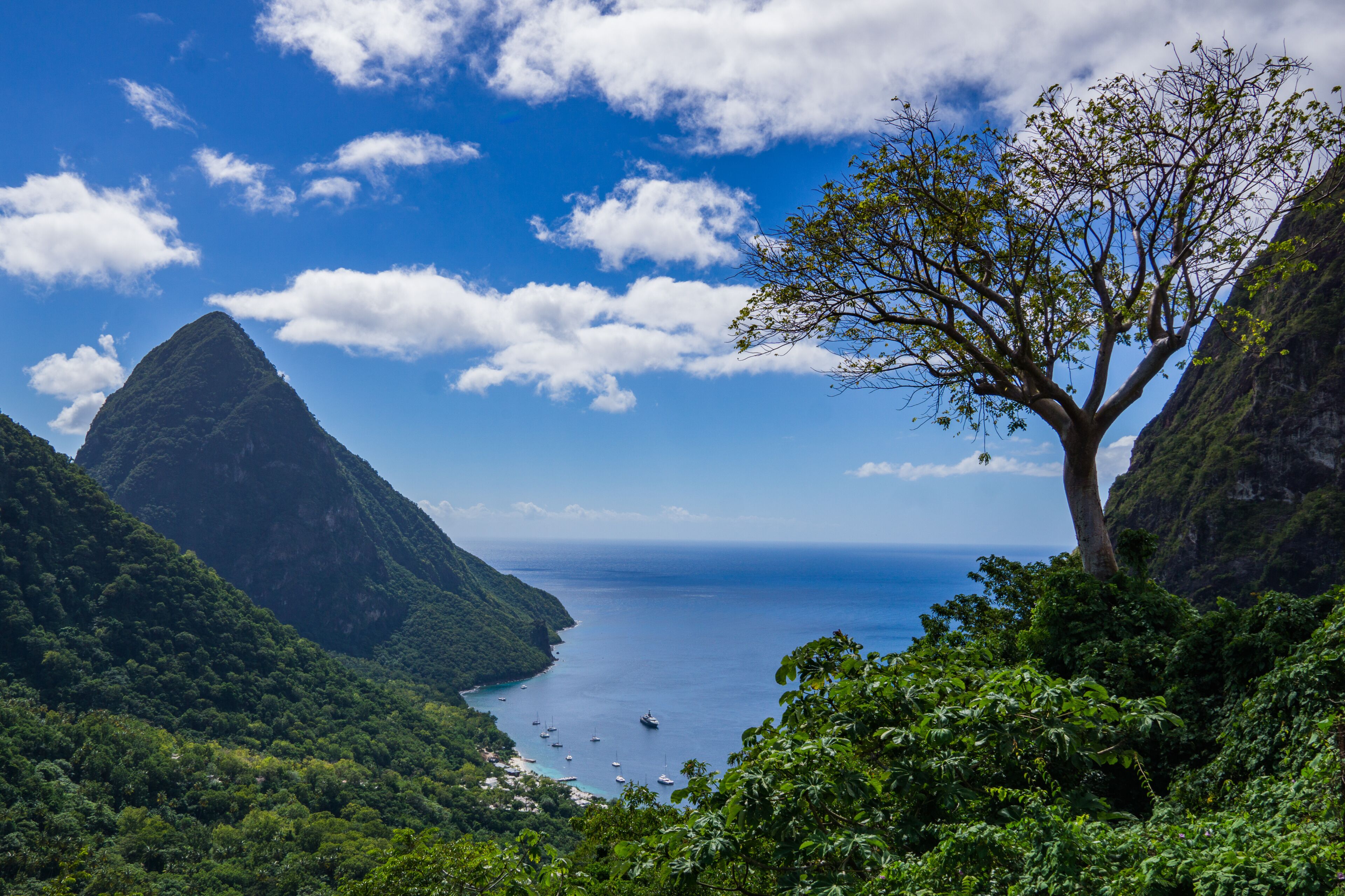 Pitons Management Area