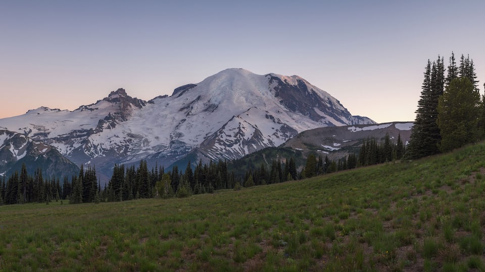 Una cordillera con picos nevados, un primer plano de hierba y un bosque de árboles de hoja perenne.