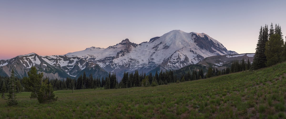 A mountain range with snow-capped peaks, a grassy foreground, and a forest of coniferous trees.