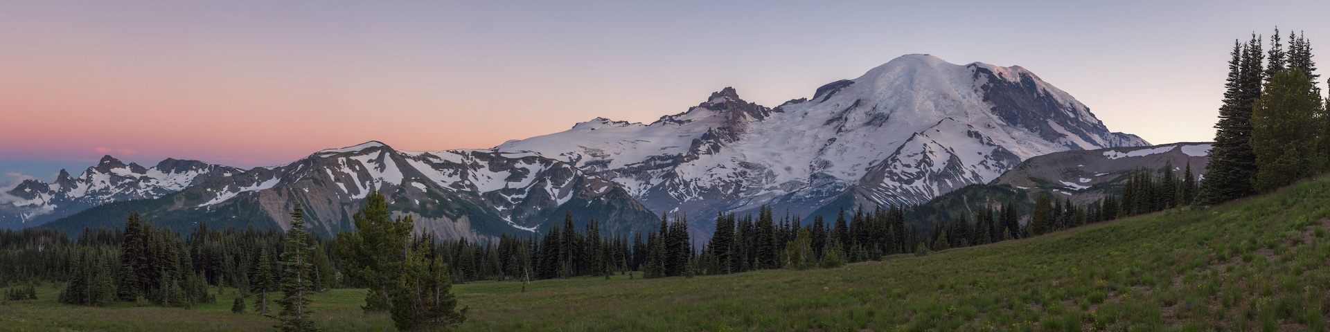 A mountain range with snow-capped peaks, a grassy foreground, and a forest of coniferous trees.
