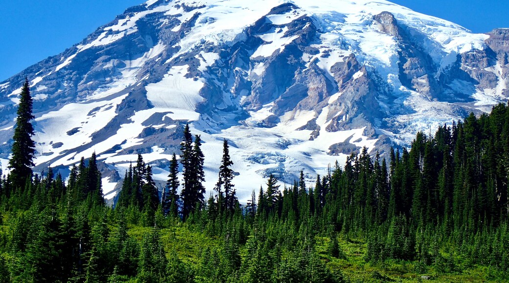 亨利傑克遜遊客中心