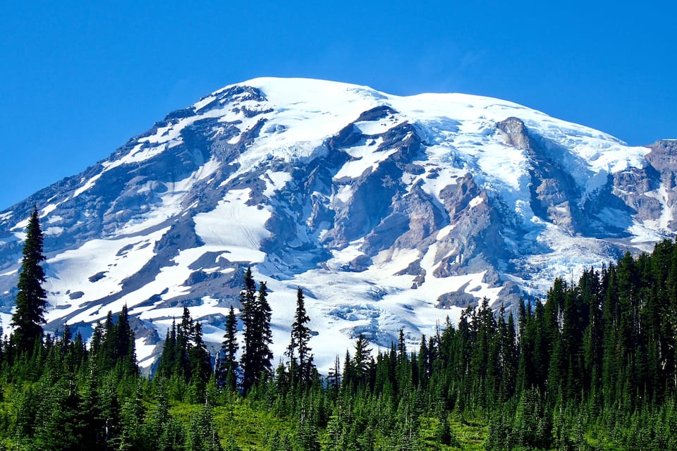 Montanha coberta de neve com um primeiro plano arborizado.