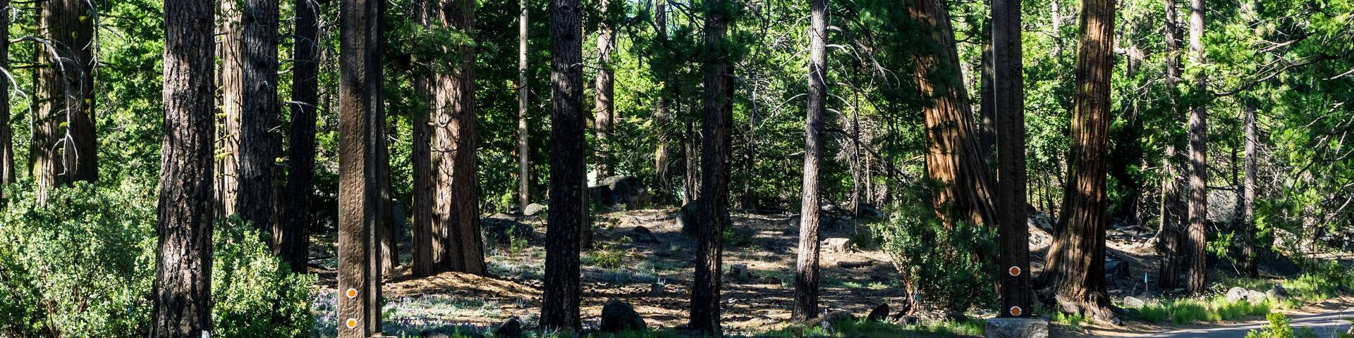 Entrance to Camp Mather, managed by San Francisco Recreation & Parks Department; the camp is located in the forests of Hetch Hetchy area, Yosemite National Park, Sierra Nevada mountains, California