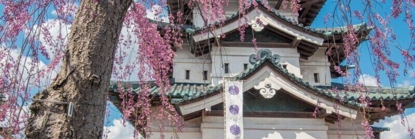 Hirosaki Castle is one of the few remaining original castles in Japan, and the area also boasts one of the most beautiful and abundant cherry blossom festivals in Japan. With thousands of trees scattered about the grounds, it's a great place to explore the beauty of the season