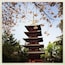 Five-storied pagoda in Hirosaki