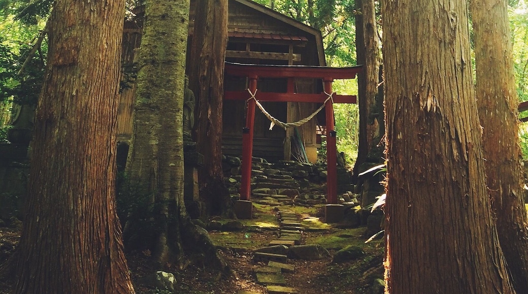 A fun thing about hiking in Japan? Sometimes you stumble unexpectedly upon peaceful, secluded little shrines. Always makes for a nice discovery. #hiking
