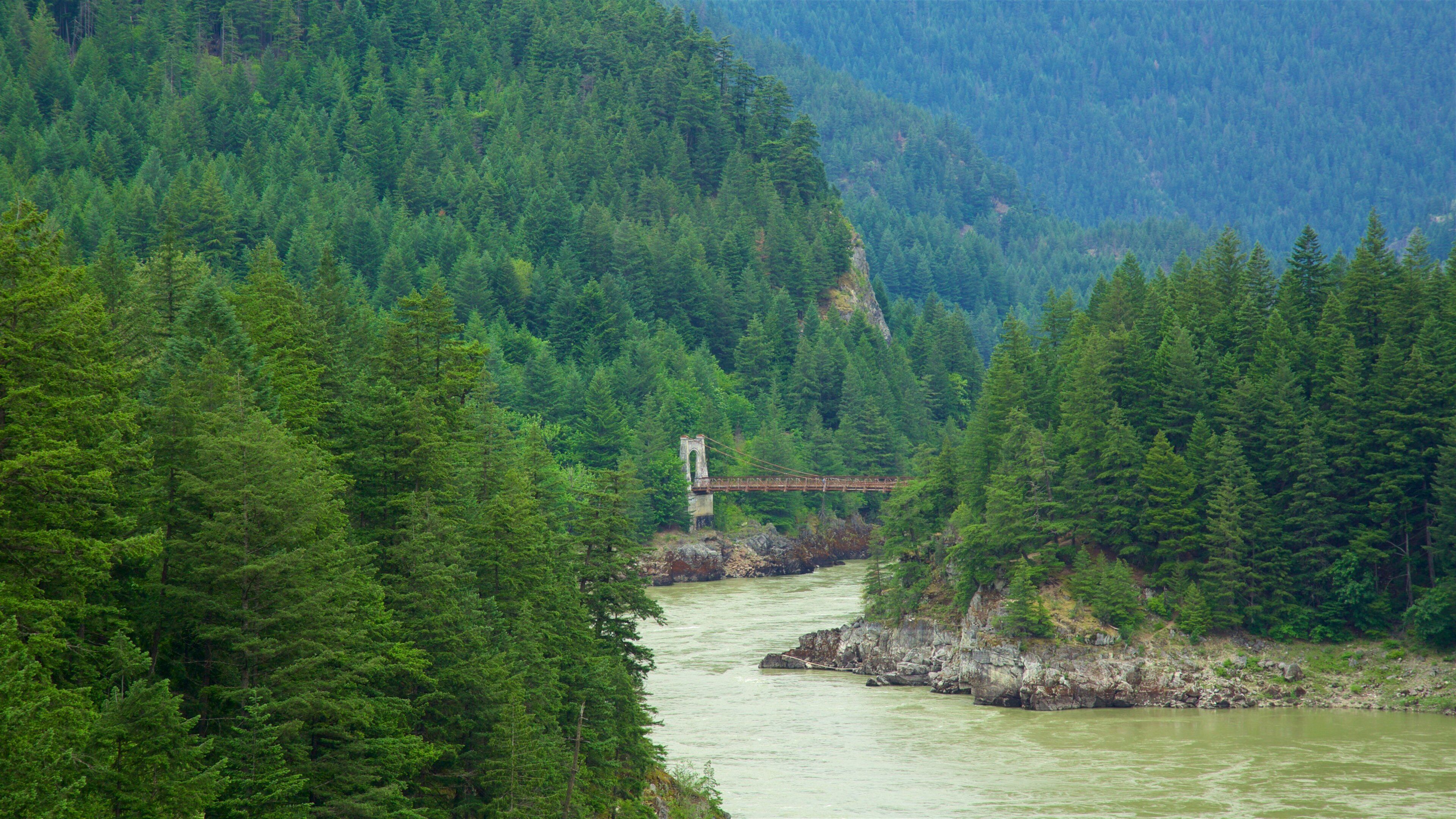 A suspension bridge over a river surrounded by dense forest.