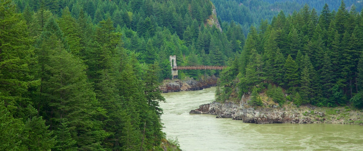 A suspension bridge over a river surrounded by dense forest.