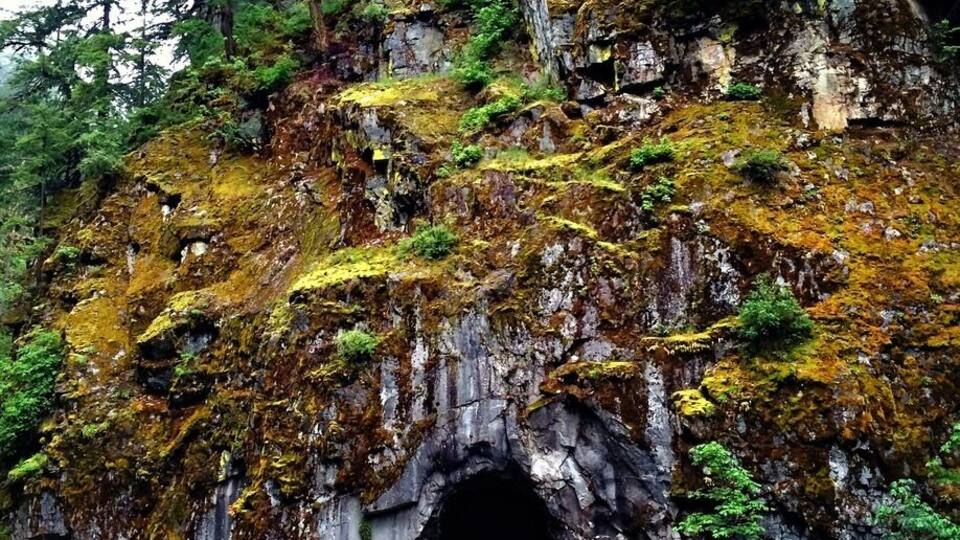 A wooden bridge leading to a rocky tunnel surrounded by lush greenery.