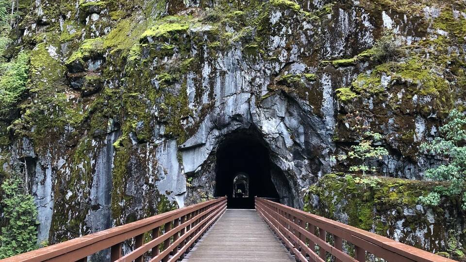 A wooden bridge leading to a rocky tunnel surrounded by lush greenery.