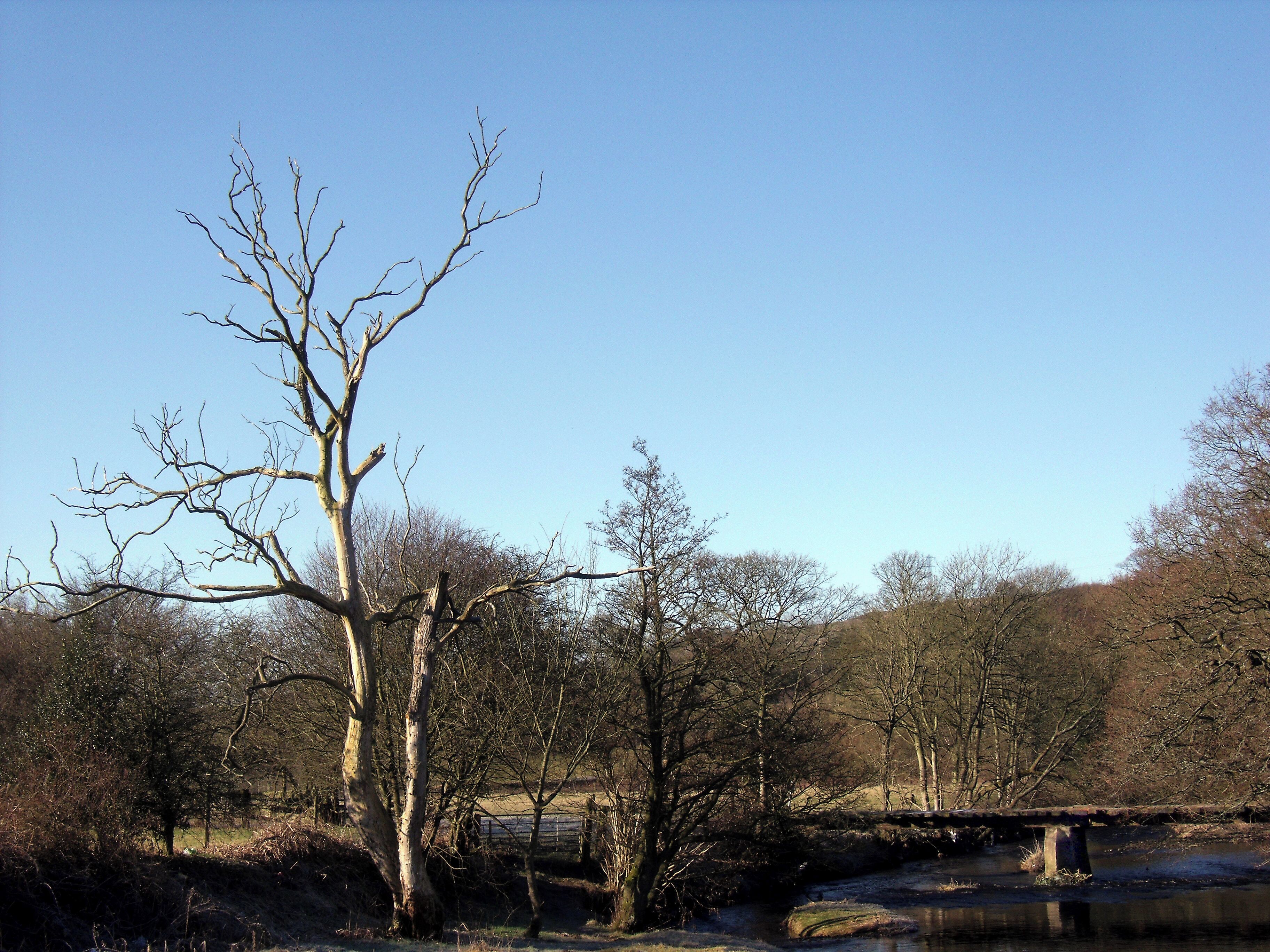 River Etherow bridge The walkway of this bridge is constructed from old railway sleepers several of which are missing to give a view of the River Etherow below. It was once part of a footpath but it now deemed to be unsafe for public use although herds of cows use it to cross the river.