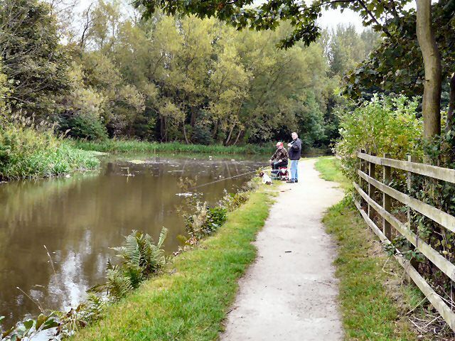 Un sendero estrecho junto a un río tranquilo, rodeado de árboles y una valla de madera.