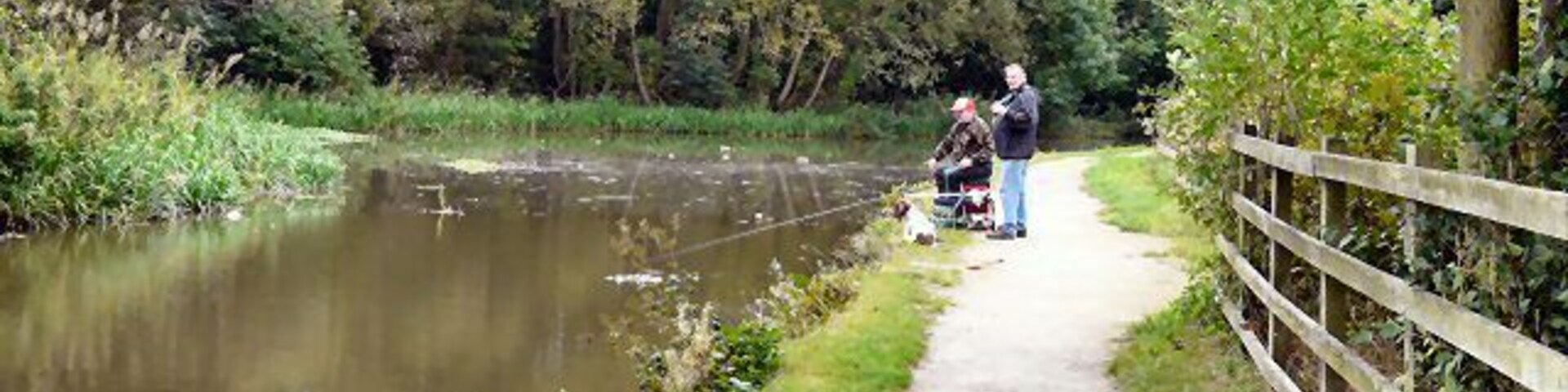 Un sendero estrecho junto a un río tranquilo, rodeado de árboles y una valla de madera.