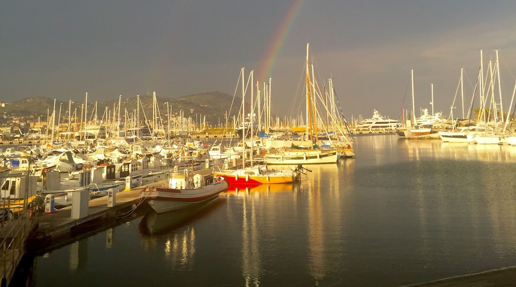 After a summer rain in the evening