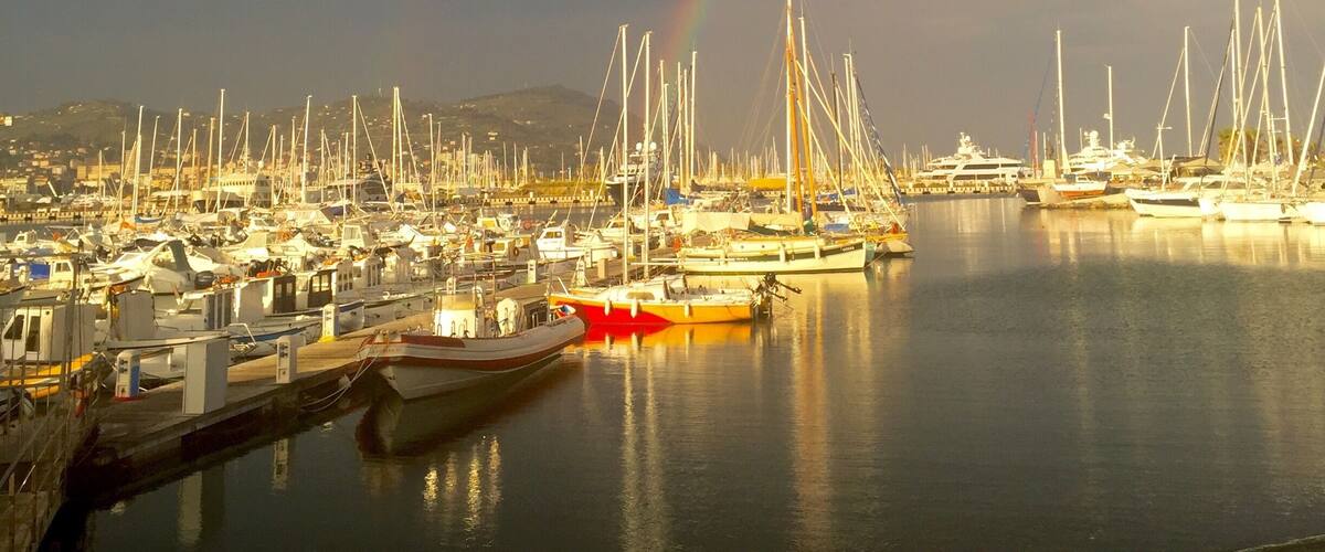 After a summer rain in the evening