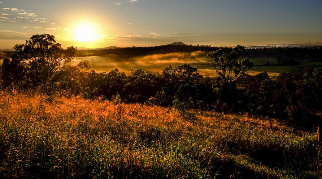 อิปสวิช